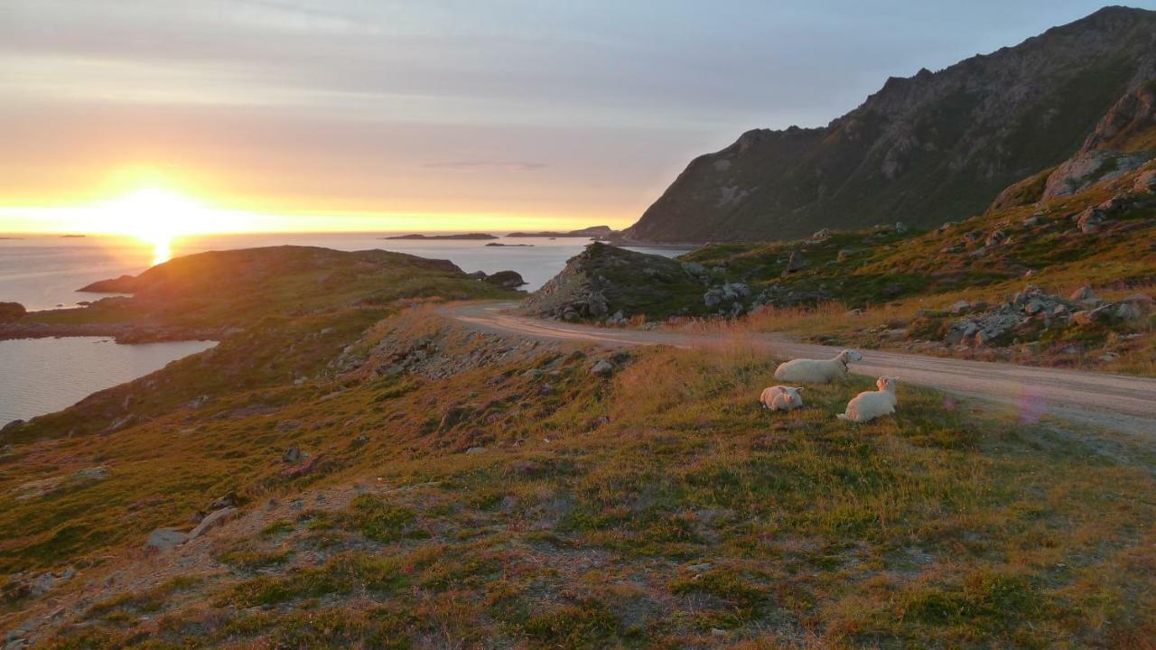 Nyksundrom, Nyksund Hotel Buitenkant foto